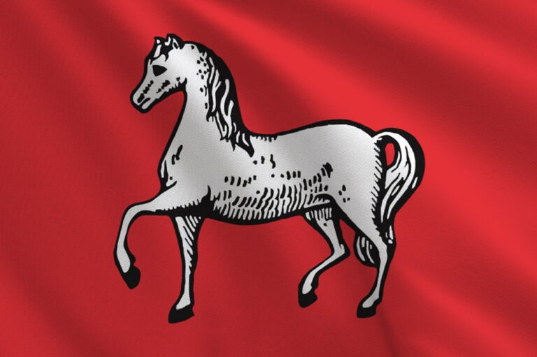 Assendelft, vlag