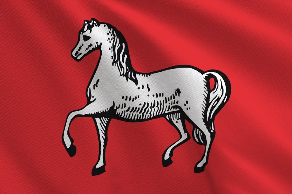 Assendelft, vlag