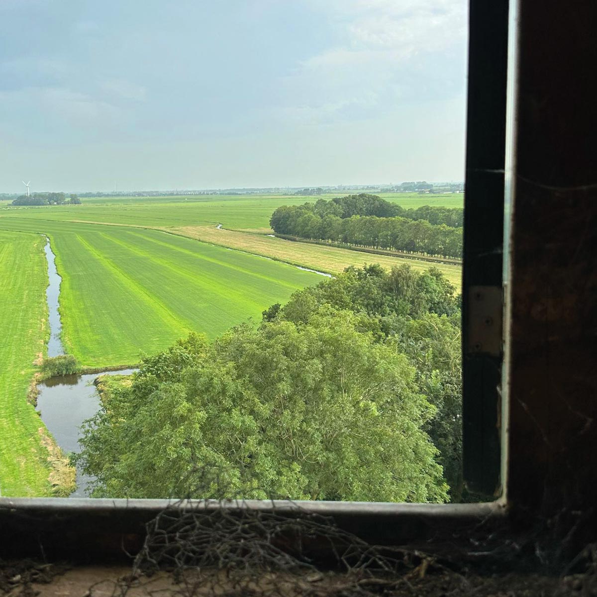 lokaal Zaans, Zaandam, krommenie, Assendelft, west-knollendam, Wormerveer, Zaandijk, westzaan, koog aan de zaan, politieke partij, raam, uitzicht, zaanstreek, groen, mooi