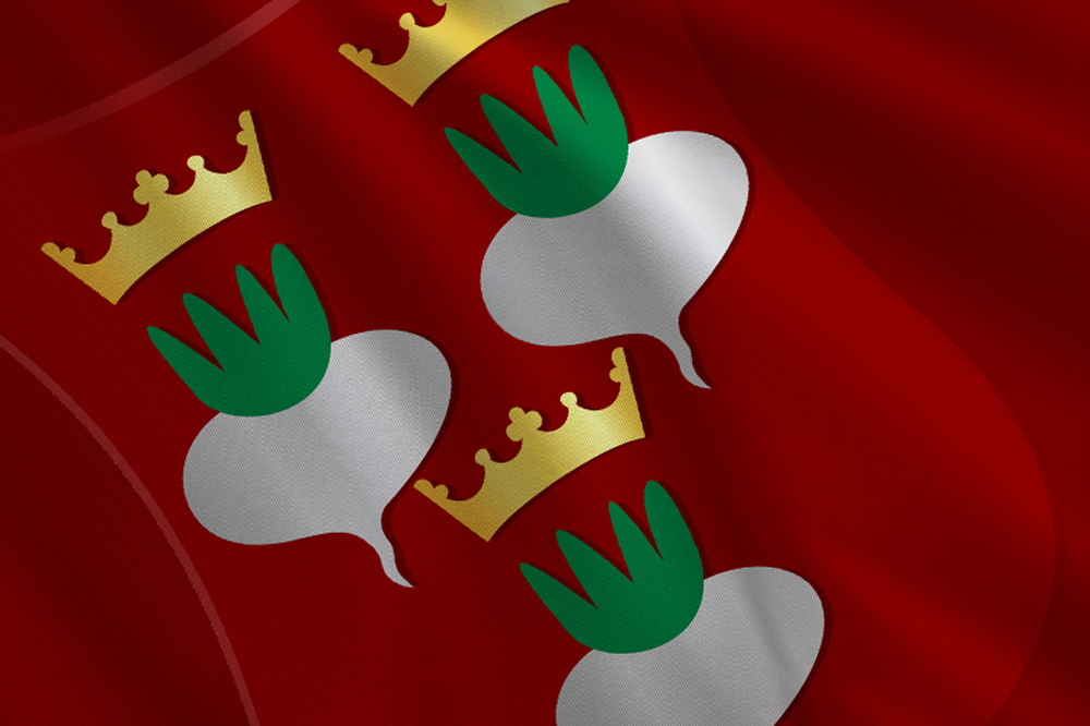 west-knollendam, vlag