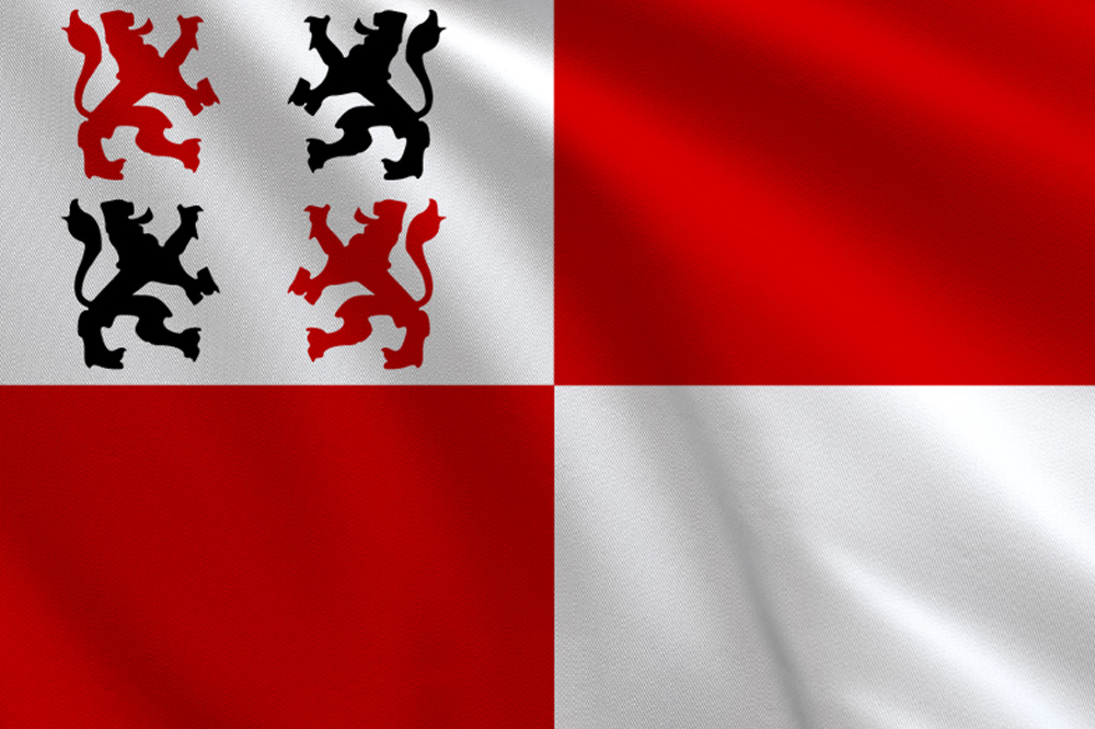 Wormerveer, vlag