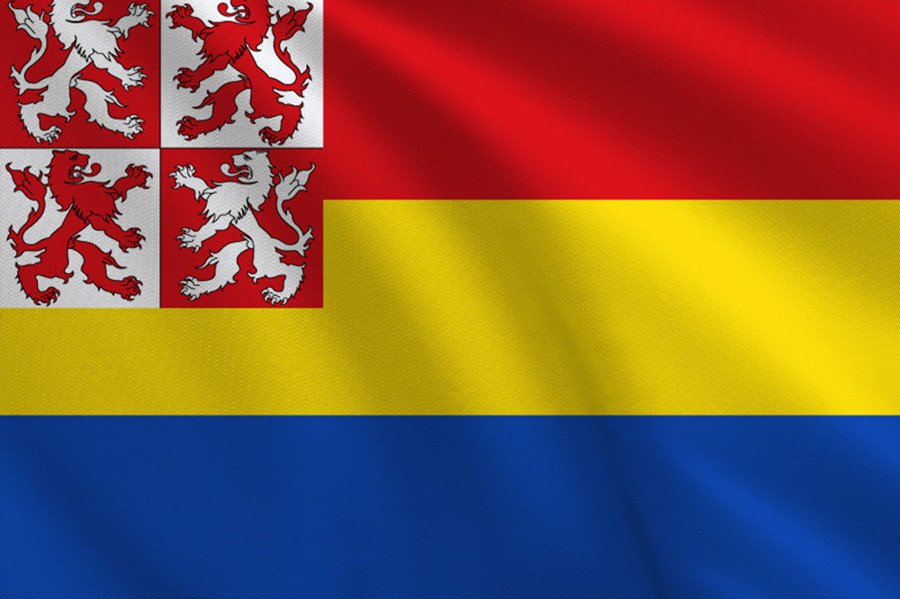 Zaandijk, vlag